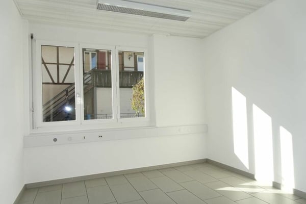 Grosszügige Büroräumlichkeiten im EG & UG 10