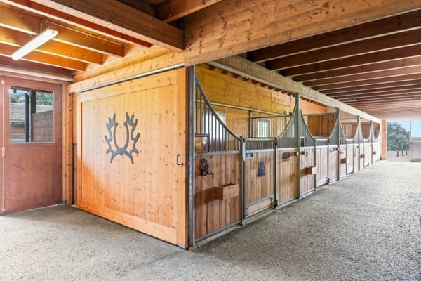 Seminare & Kurse mit Pferden - Eine exklusive Oase für Nutzung 10