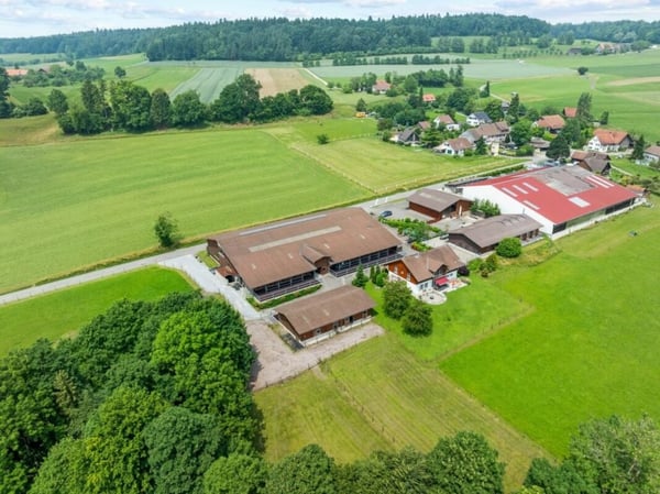 Seminare & Kurse mit Pferden - Eine exklusive Oase für Nutzung 3