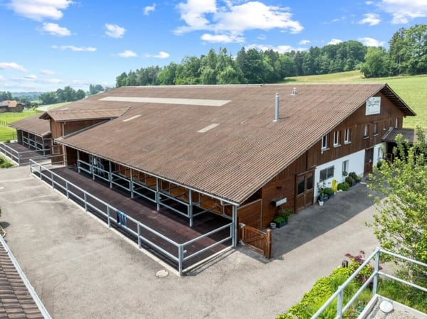 Seminare & Kurse mit Pferden - Eine exklusive Oase für Nutzung 8