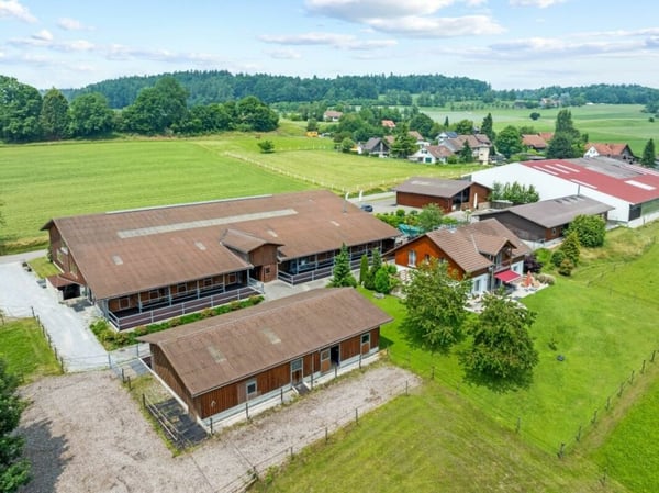 Seminare & Kurse mit Pferden - Eine exklusive Oase für Nutzung 19