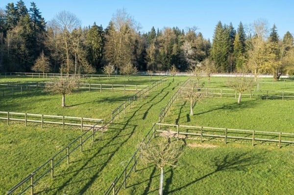 Reitsportimmobilie mit Wohnung/Einzelzimmer und Reitalle 6