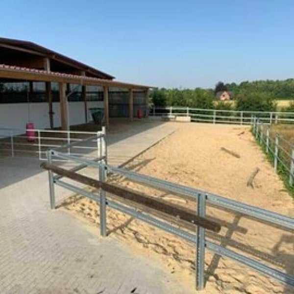 Reitsportimmobilie mit Wohnung/Einzelzimmer und Reitalle 2