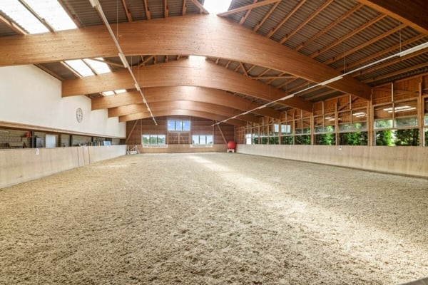 Einzigartige Reitsportimmobilie und Seminare mit Pferden 1