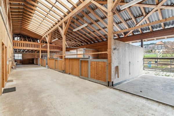 Top Angebot! Reitsportimmobilie mit Reithalle und Wohnhaus 3