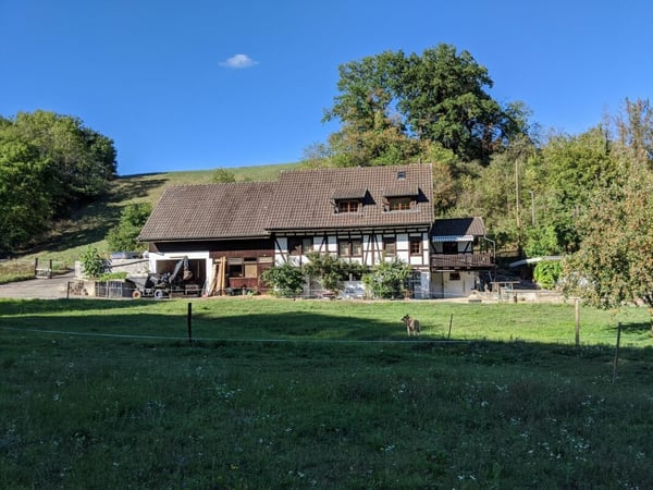 Letzte Gelegenheit - Reitanlage mit Bauprojekt 1