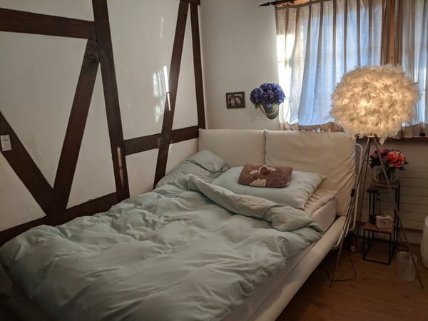 Letzte Gelegenheit - Reitanlage mit Bauprojekt 5