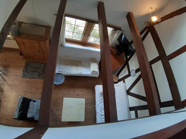 Letzte Gelegenheit - Reitanlage mit Bauprojekt 7