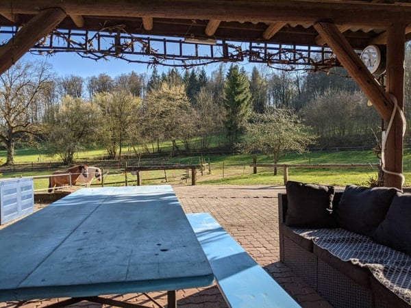 Letzte Gelegenheit - Reitanlage mit Bauprojekt 25