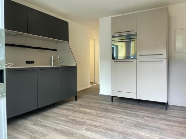 Moderne renovierte 1.5 Zi-Erdgeschosswohnung 3