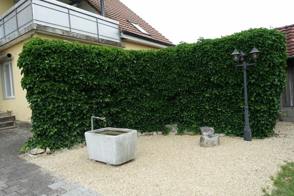 Moderne renovierte 1.5 Zi-Erdgeschosswohnung 14