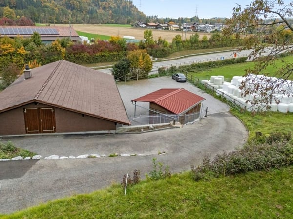 Pferdeparadiesli im Simmental - Berner Oberland 6