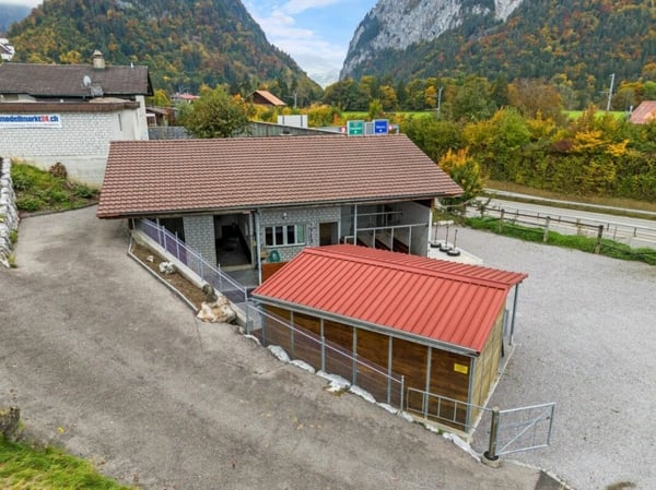 Pferdeparadiesli im Simmental - Berner Oberland 5