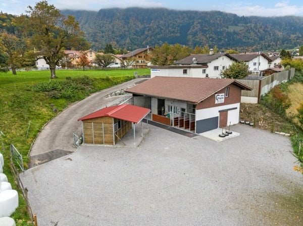 Pferdeparadiesli im Simmental - Berner Oberland 4