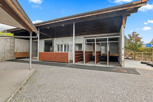 Pferdeparadiesli im Simmental - Berner Oberland 3