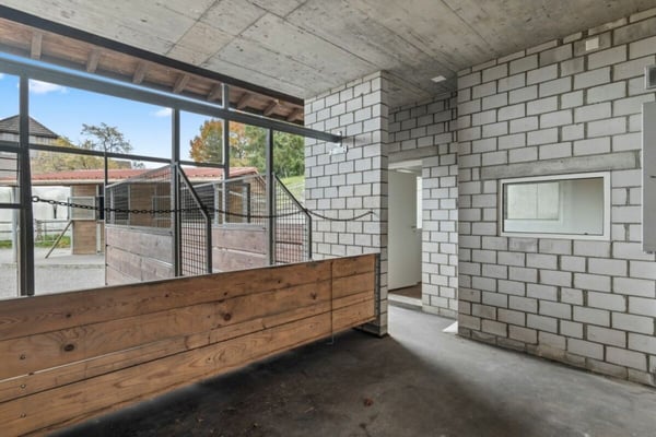 Pferdeparadiesli im Simmental - Berner Oberland 7