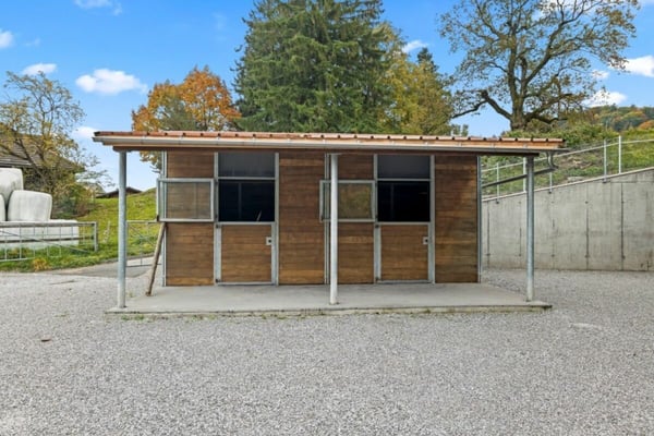 Pferdeparadiesli im Simmental - Berner Oberland 11