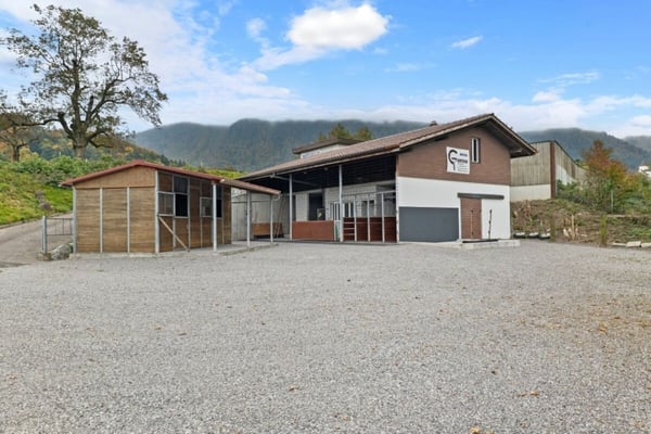 Pferdeparadiesli im Simmental - Berner Oberland 1