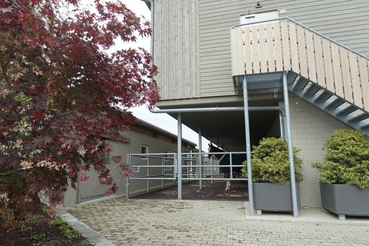 Reitsportimmobilie mit Haus und Reithalle