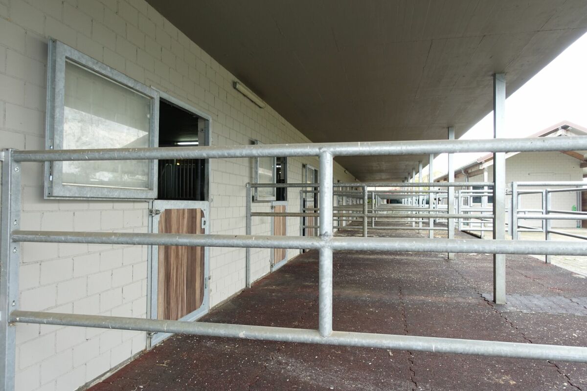 Reitsportimmobilie mit Haus und Reithalle