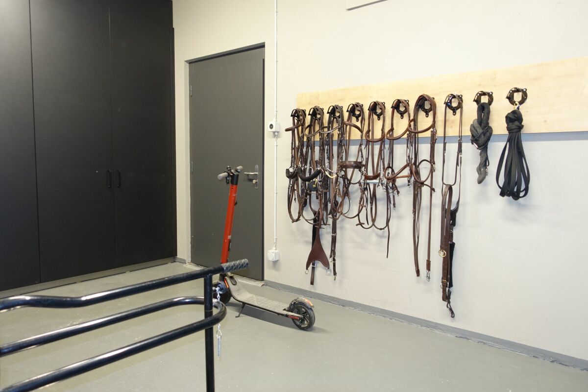 Reitsportimmobilie mit Haus und Reithalle
