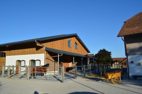 Queens Ranch Academy 2