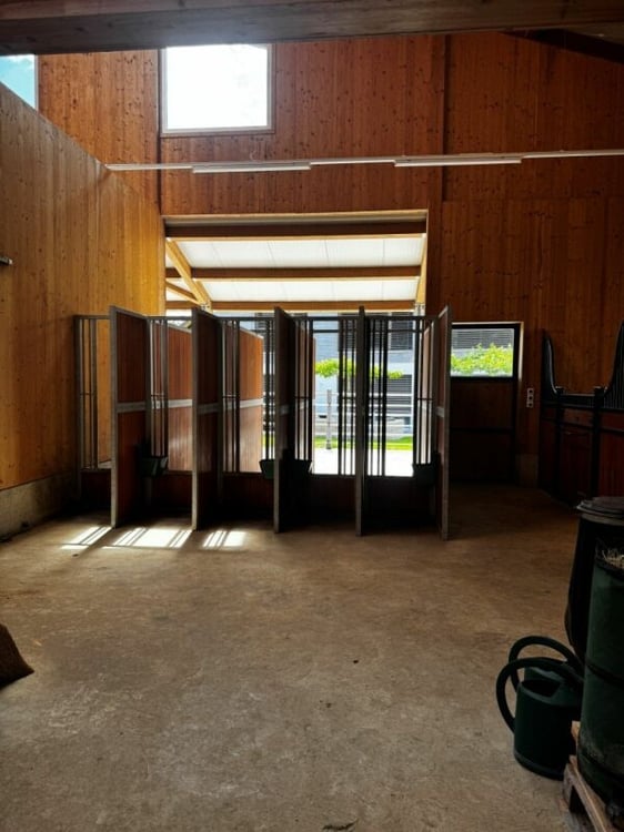 Queens Ranch Academy 12