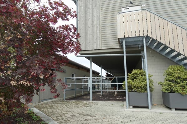 Reserviert! Reitsportimmobilie mit Haus und Reithalle 32
