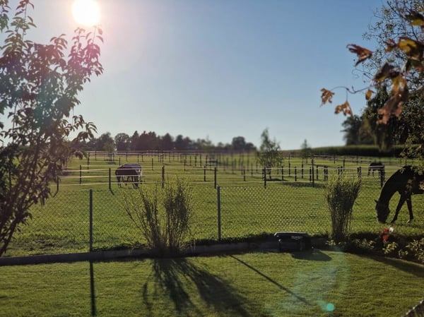 Reserviert! Reitsportimmobilie mit Haus und Reithalle 28