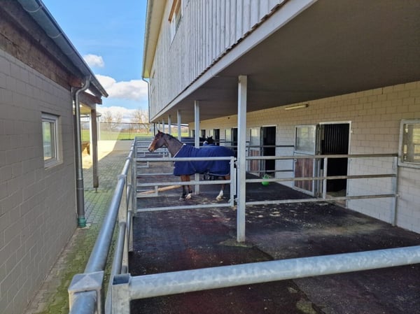 Reserviert! Reitsportimmobilie mit Haus und Reithalle 41
