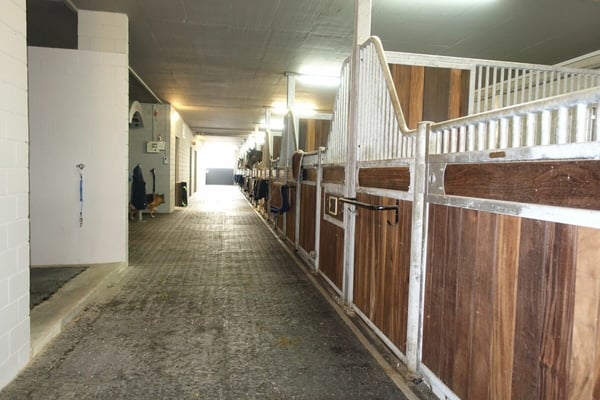 Reserviert! Reitsportimmobilie mit Haus und Reithalle 46
