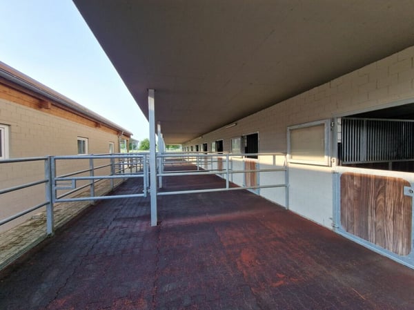 Reserviert! Reitsportimmobilie mit Haus und Reithalle 42