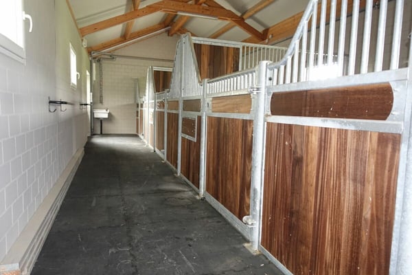Reserviert! Reitsportimmobilie mit Haus und Reithalle 47