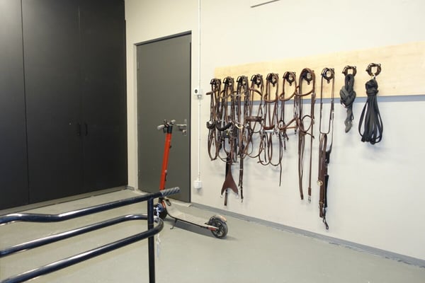 Reserviert! Reitsportimmobilie mit Haus und Reithalle 53