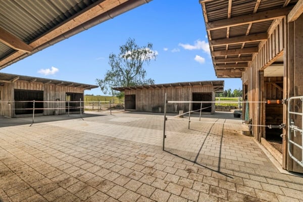 Aussergewöhnliches Landgut mit Reitanlage - eine Oase für Mensch und Pferd 63