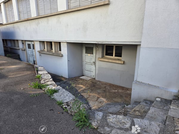 3-Räume Atelier / Werkstatt in Biel – Gurzelen | Atelier / local artisanal de 3 pièces (Gurzelen) 2