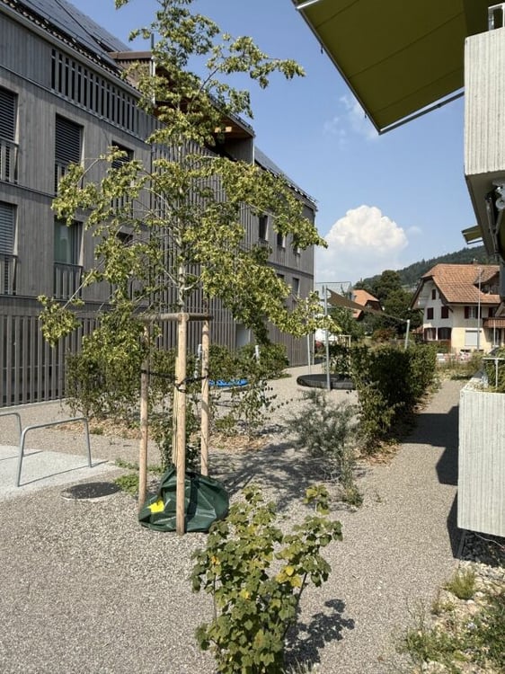 schöne neuwertige 2.5-Zimmerwohnung im 1. OG mit Wintergarten 10