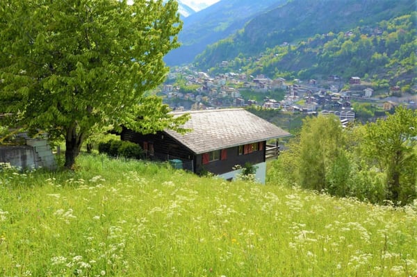 Renovationsbedürftiges Chalet bei Staldenried in herrlicher Umgebung 1