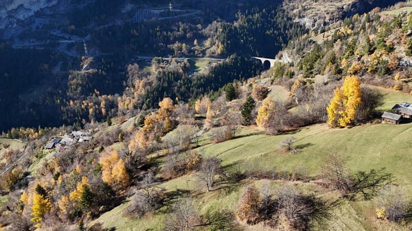Sonniges Landwirtschaftsland mit Stall bei Leukerbad 8