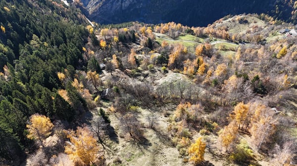 Sonniges Landwirtschaftsland mit Stall bei Leukerbad 5