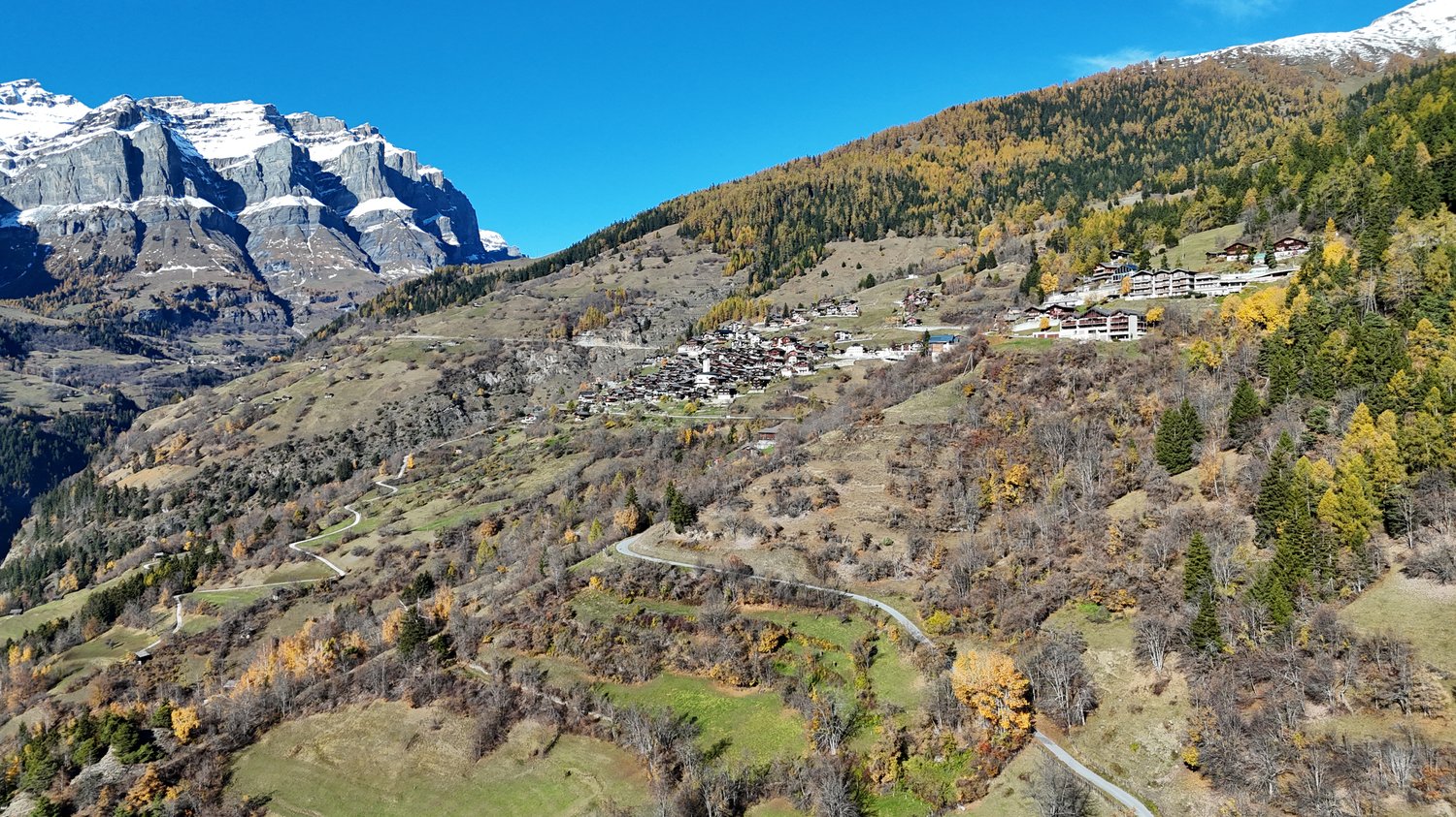 Mountain village, winding roads, mountainous landscape, green fields, snowy peaks, dense trees
