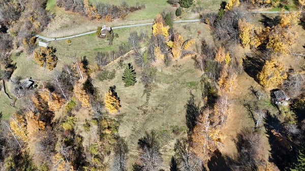 Sonniges Landwirtschaftsland mit Stall bei Leukerbad 2