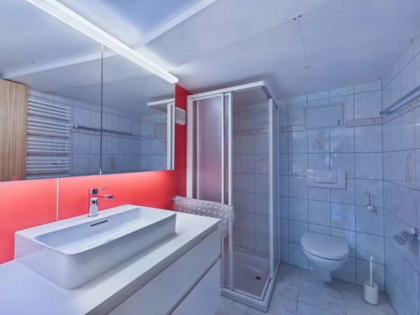 Renovierte 2.5-Zimmerwohnung in Visperterminen 7