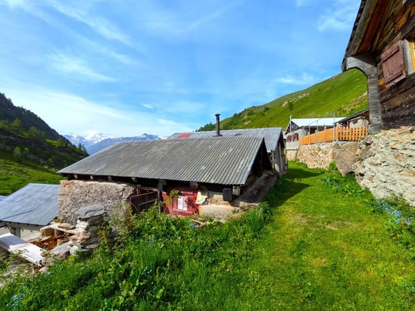 Alphütte auf ca. 2'000 m ü. M. auf der Bachalpe 8