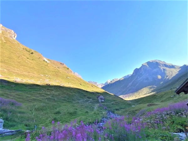Alphütte auf ca. 2'000 m ü. M. auf der Bachalpe 13