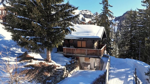 Bergrefugium mit Ski-in-Komfort auf der Riederalp 24