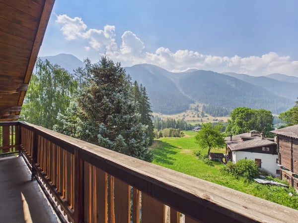 Charmantes Zweifamilienhaus an sonniger Lage im Goms 15