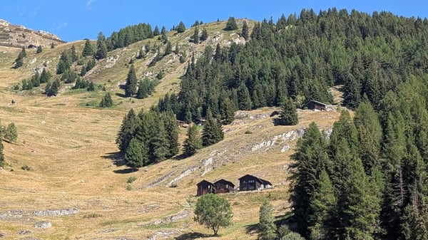 Rustikale Wohnung mit genialem Weitblick und Stall-Scheune bei der Belalp 16