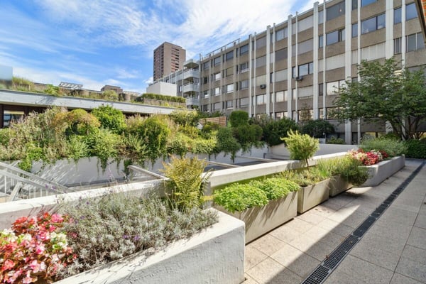 Ihr neuer Standort oder Wohntraum neu gestalten! 1