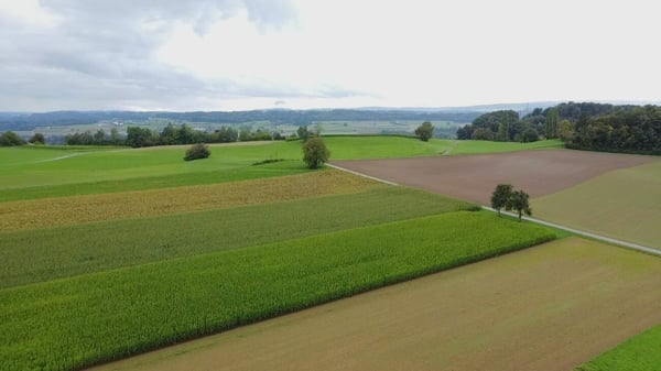 Leben im Einklang - Nachhaltig und Modern! 12